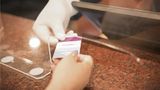 <b>Mercure Alger Airport Hotel Other</b>. Images powered by <a href="https://iceportal.shijigroup.com/" title="IcePortal" target="_blank">IcePortal</a>.