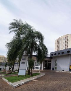 Ibis Sao Carlos