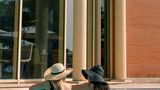<b>Novotel Rome East Pool</b>. Images powered by <a href="https://iceportal.shijigroup.com/" title="IcePortal" target="_blank">IcePortal</a>.