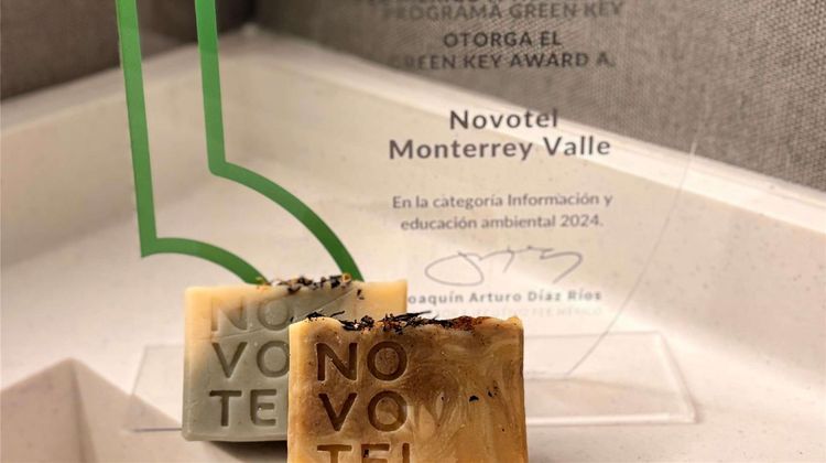 Novotel Monterrey Valle Other