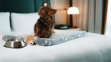 Sofitel Montreal Golden Mile Suite