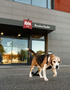 Hotel Ibis Barcelona Ripollet