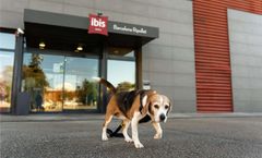 Hotel Ibis Barcelona Ripollet