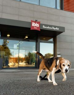 Hotel Ibis Barcelona Ripollet