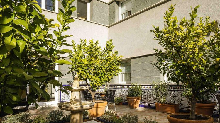 Ibis Granada Other