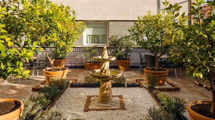 Ibis Granada Other