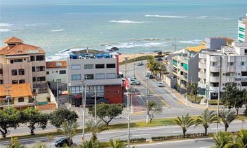 Ibis Macae