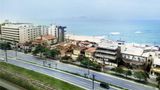 Ibis Macae Other