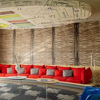 Ibis Macae