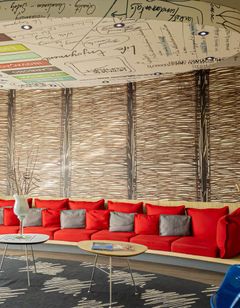 Ibis Macae