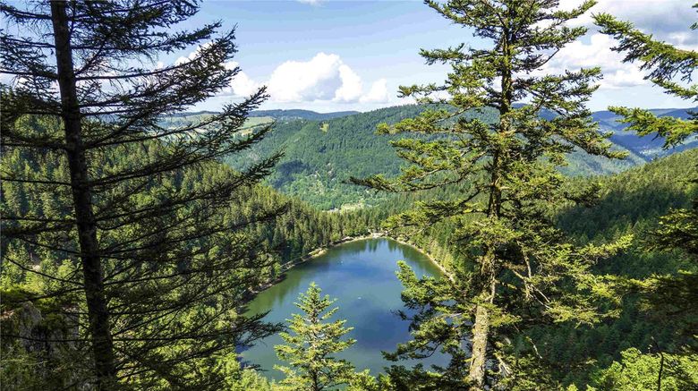 <b>Hotel Ibis La Bresse Gerardmer Other</b>. Images powered by <a href="https://iceportal.shijigroup.com/" title="IcePortal" target="_blank">IcePortal</a>.