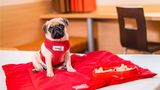 <b>Ibis Vitoria Other</b>. Images powered by <a href="https://iceportal.shijigroup.com/" title="IcePortal" target="_blank">IcePortal</a>.