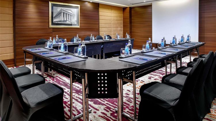 Sofitel El Gezirah Meeting