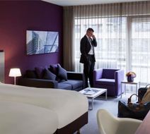 Pullman Eindhoven Cocagne Room