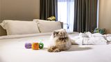 Mercure Apartments Florianopolis Itacoru Room