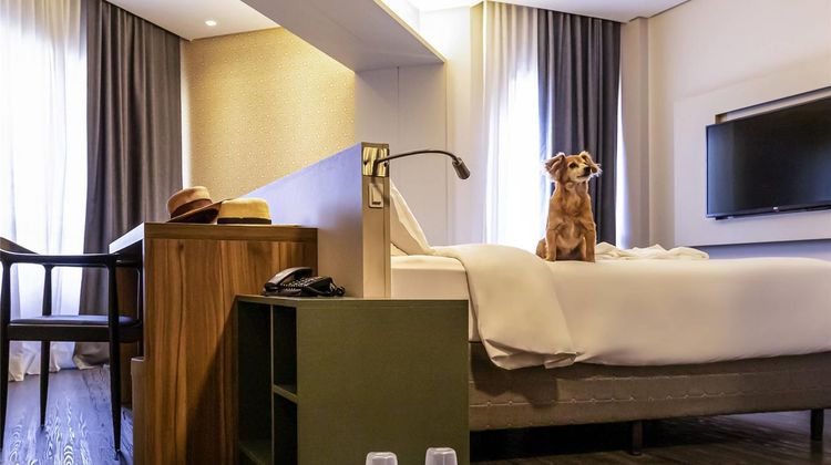 Mercure Apartments Florianopolis Itacoru Room