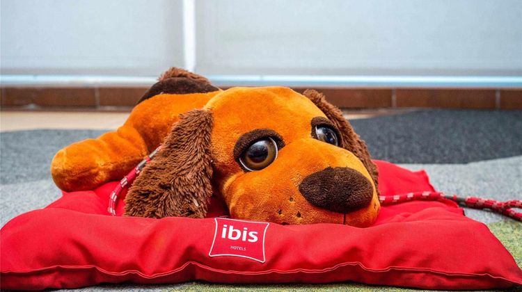 Ibis Recife Other
