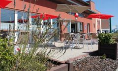 Ibis Albert