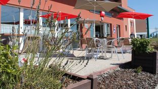 Ibis Albert