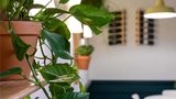 <b>Ibis Dunkerque Centre Restaurant</b>. Images powered by <a href="https://iceportal.shijigroup.com/" title="IcePortal" target="_blank">IcePortal</a>.