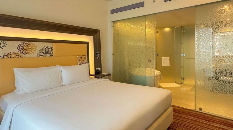 Novotel Pune Nagar Road Room