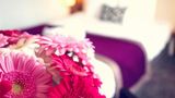 <b>Mercure Angers Centre Foch Room</b>. Images powered by <a href="https://iceportal.shijigroup.com/" title="IcePortal" target="_blank">IcePortal</a>.