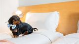 Hotel Ibis Karlsruhe City Other