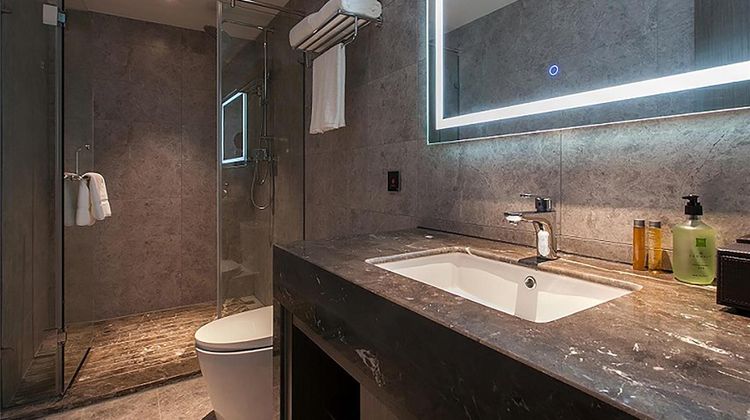 Ibis Styles Wuhan Optics Valley Room