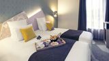 <b>Mercure Thionville Centre Other</b>. Images powered by <a href="https://iceportal.shijigroup.com/" title="IcePortal" target="_blank">IcePortal</a>.