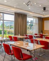Ibis Bursa