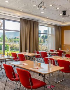 Ibis Bursa