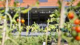 Ibis Lyon Est Chaponnay Other