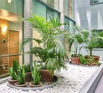 Ibis Barcelona Centro Sagrada Familia Exterior