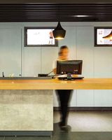 Ibis Cascavel
