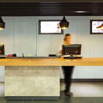 Ibis Cascavel