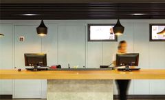 Ibis Cascavel
