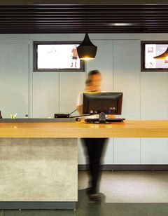 Ibis Cascavel