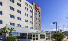 Ibis Jaboticabal