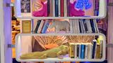 Ibis Styles Paris Tolbiac Bibliotheque Exterior