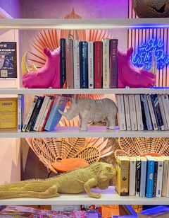 Ibis Styles Paris Tolbiac Bibliotheque