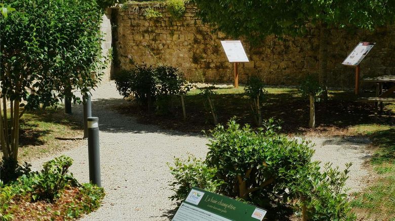 <b>Adagio Access Poitiers Other</b>. Images powered by <a href="https://iceportal.shijigroup.com/" title="IcePortal" target="_blank">IcePortal</a>.