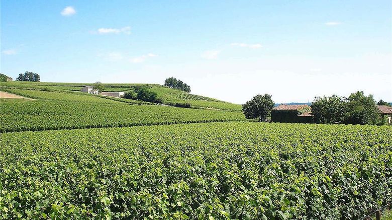 <b>Ibis Bordeaux St Emilion Hotel Exterior</b>. Images powered by <a href="https://iceportal.shijigroup.com/" title="IcePortal" target="_blank">IcePortal</a>.
