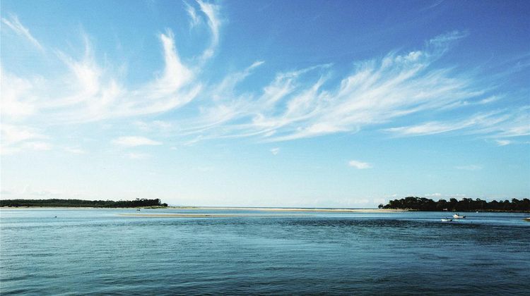 The Sebel Noosa Other