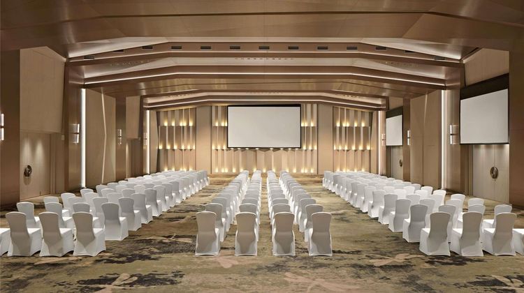 Pullman Danang Beach Resort Meeting