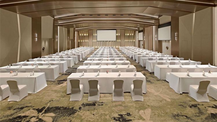 Pullman Danang Beach Resort Meeting