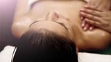 <b>Novotel Goa Candolim Spa</b>. Images powered by <a href="https://iceportal.shijigroup.com/" title="IcePortal" target="_blank">IcePortal</a>.