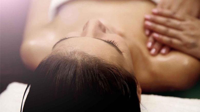 <b>Novotel Goa Candolim Spa</b>. Images powered by <a href="https://iceportal.shijigroup.com/" title="IcePortal" target="_blank">IcePortal</a>.