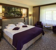 Mercure Krynica Resort And Spa Room