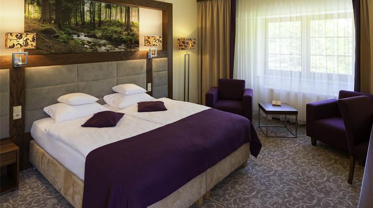 Mercure Krynica Resort And Spa Room