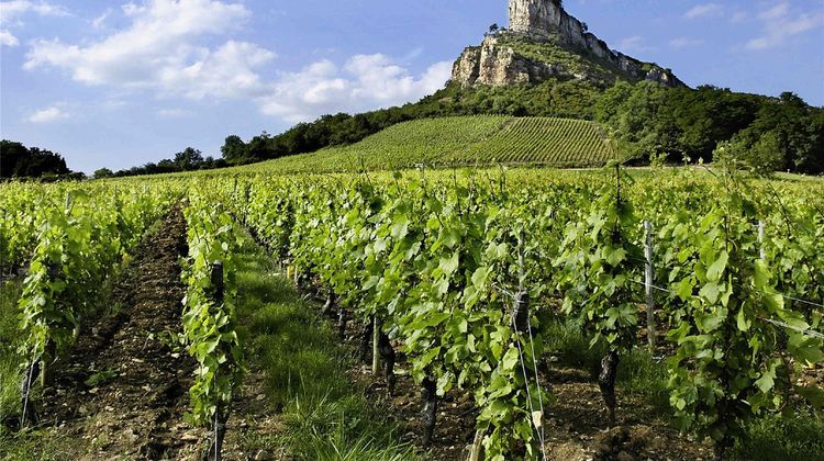Mercure Macon Bord de Saone Other